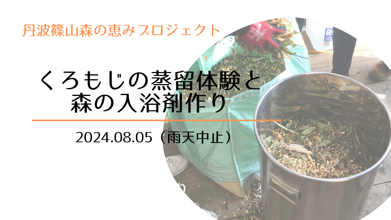 くろもじ蒸留体験会2024年8月5日